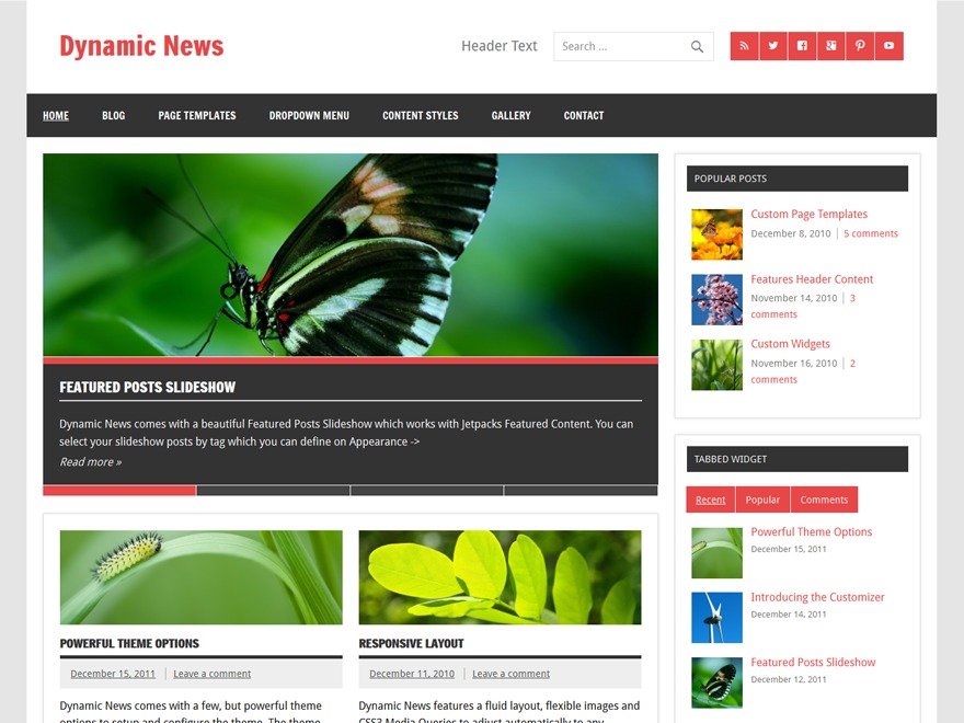 WordPress theme Dynamic-Child