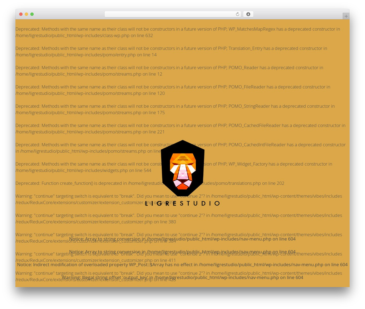 WordPress website theme Vibes - ligrestudio.com WordPress website theme Vibes - ligrestudio.com