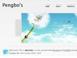 Aurelius theme WordPress by Pengbos.com