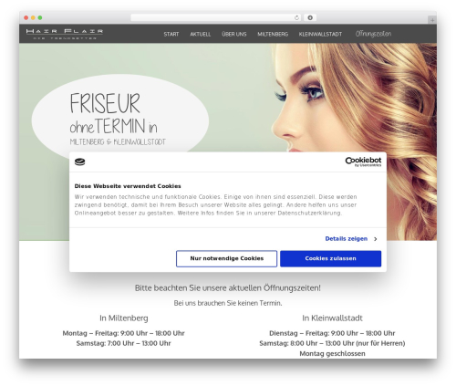 Custom-Theme-2 WordPress theme - salon-hair-flair.de