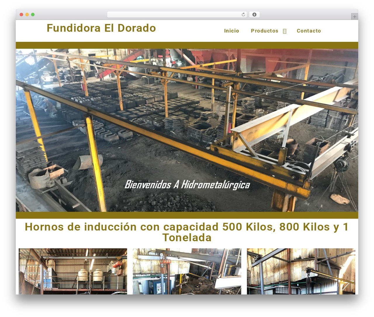 Enterprise WordPress Theme theme WordPress - fedsa.net