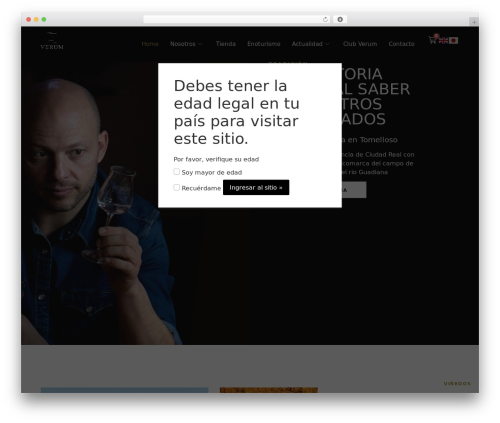 Hello Elementor WP theme - bodegasverum.com