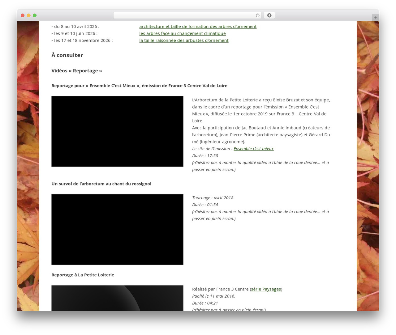 Loiterie WordPress theme - lapetiteloiterie.fr