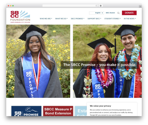 NDIC Custom Theme WordPress theme - sbccfoundation.org