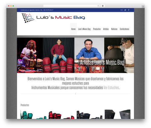 Nine WordPress theme - luiosmusicbag.com