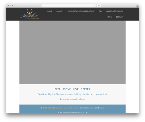 Optimizer PRO theme WordPress - segelovpt.com