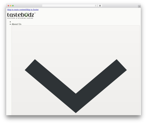 Wp story premium WordPress plugin - tastebudzng.com