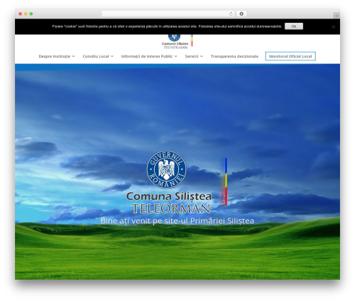 Theme WordPress Divi - silistea.ro