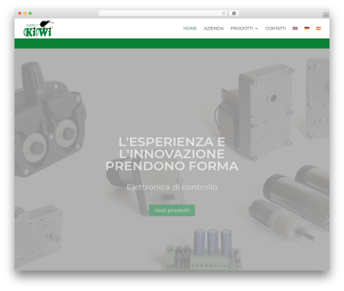 Theme WordPress Divi - nuovakiwi.it