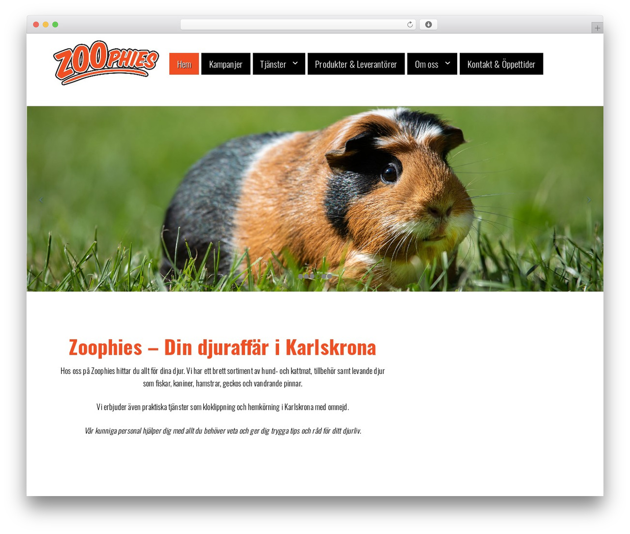 Visual Composer Starter WordPress theme - zoophies.se Visual Composer Starter WordPress theme - zoophies.se