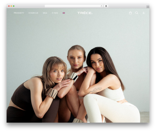 Przelewy24 WordPress plugin - trece-store.com