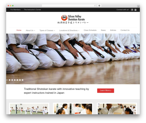 Thinkup panels WordPress plugin - svkarate.com
