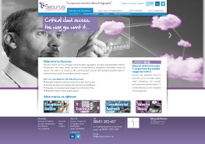 WordPress website theme Securus WordPress website theme Securus