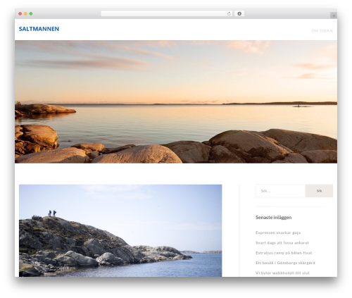 WordPress website theme Siuy - saltmannen.se