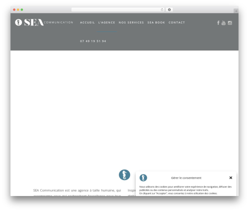 Global content blocks WordPress plugin - sea-communication.fr