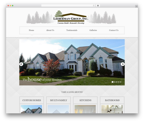 Best WordPress theme theme1389 - liebermangroupinc.com