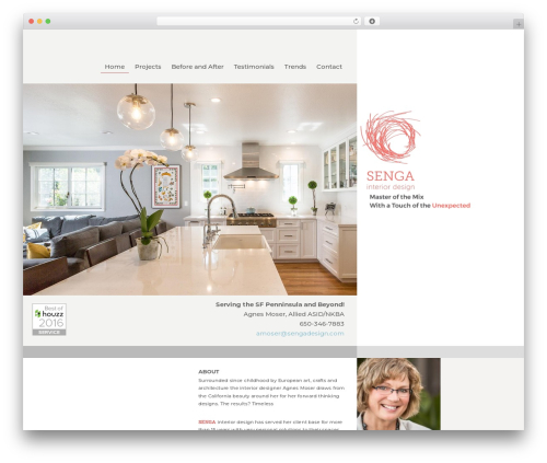 Divi_module_menu WordPress plugin - sengadesign.com