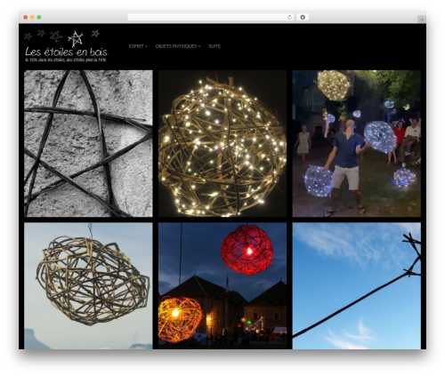 Fluxus WordPress theme - lesetoilesenbois.apps-1and1.net