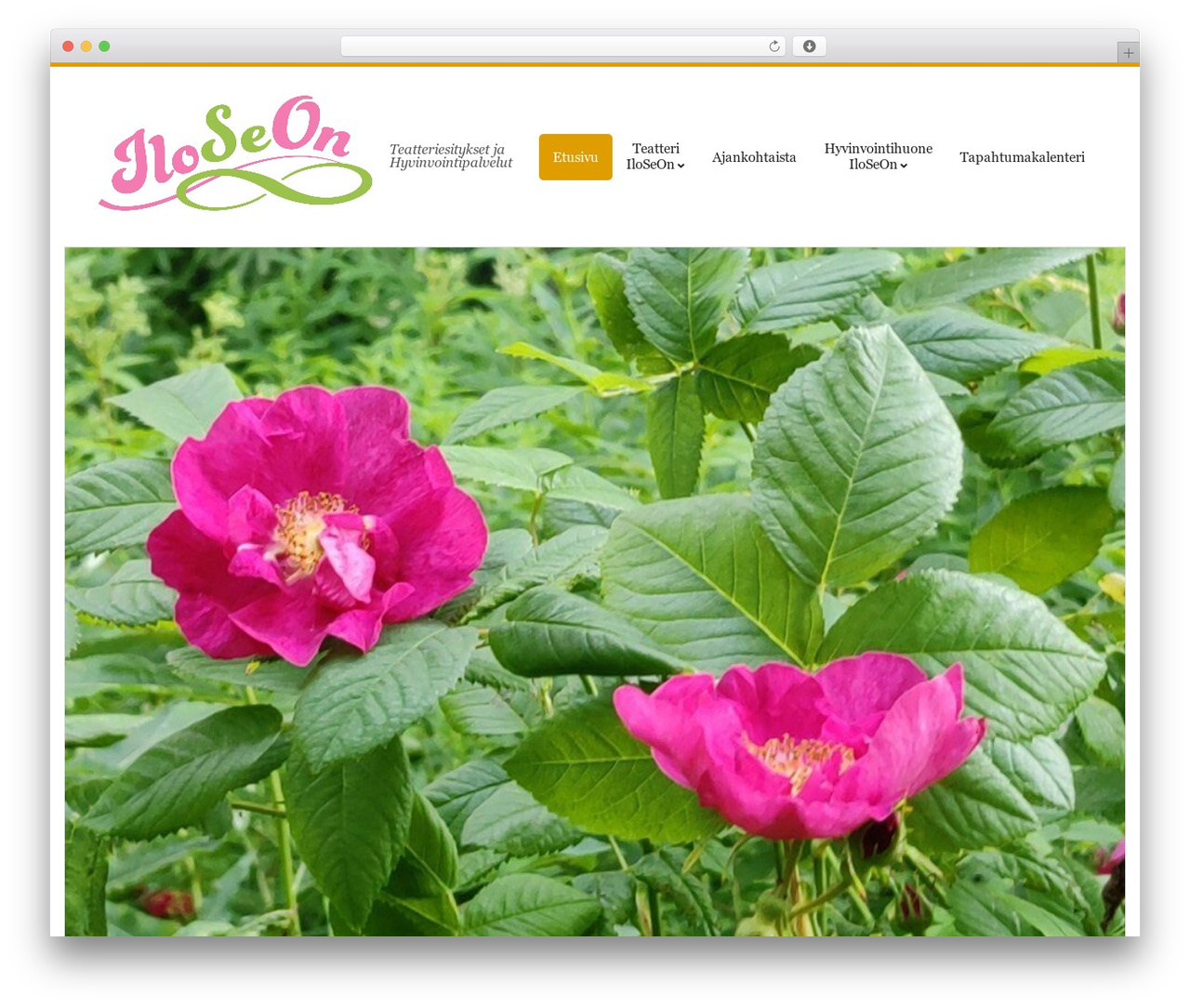 Nirvata premium WordPress theme - iloseon.fi
