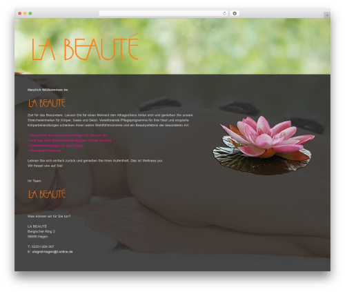 spasaloon WordPress theme - la-beaute-hagen.com
