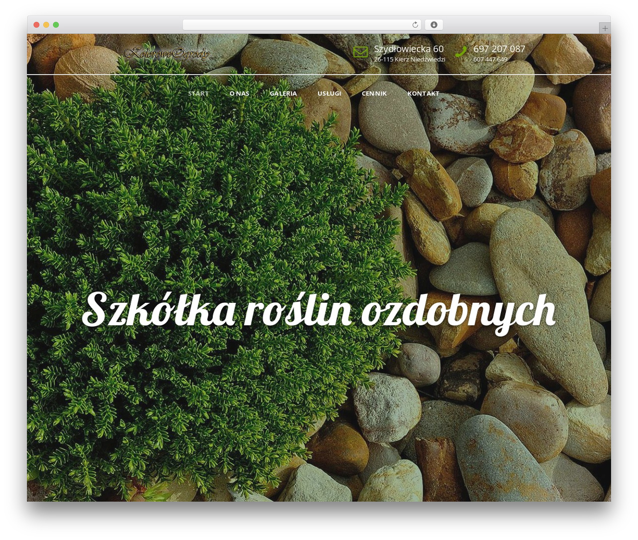 Theme WordPress GreenThumb - koloroweogrody.com