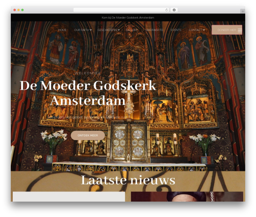 Alone addons WordPress plugin - moedergodskerk.nl