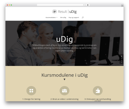 Dc divi accessibility helper WordPress plugin - result.uit.no/udig
