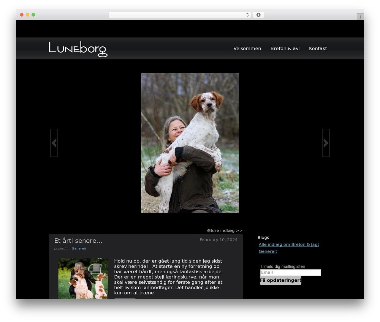 Building blocks WP theme - luneborg.com Building blocks WP theme - luneborg.com