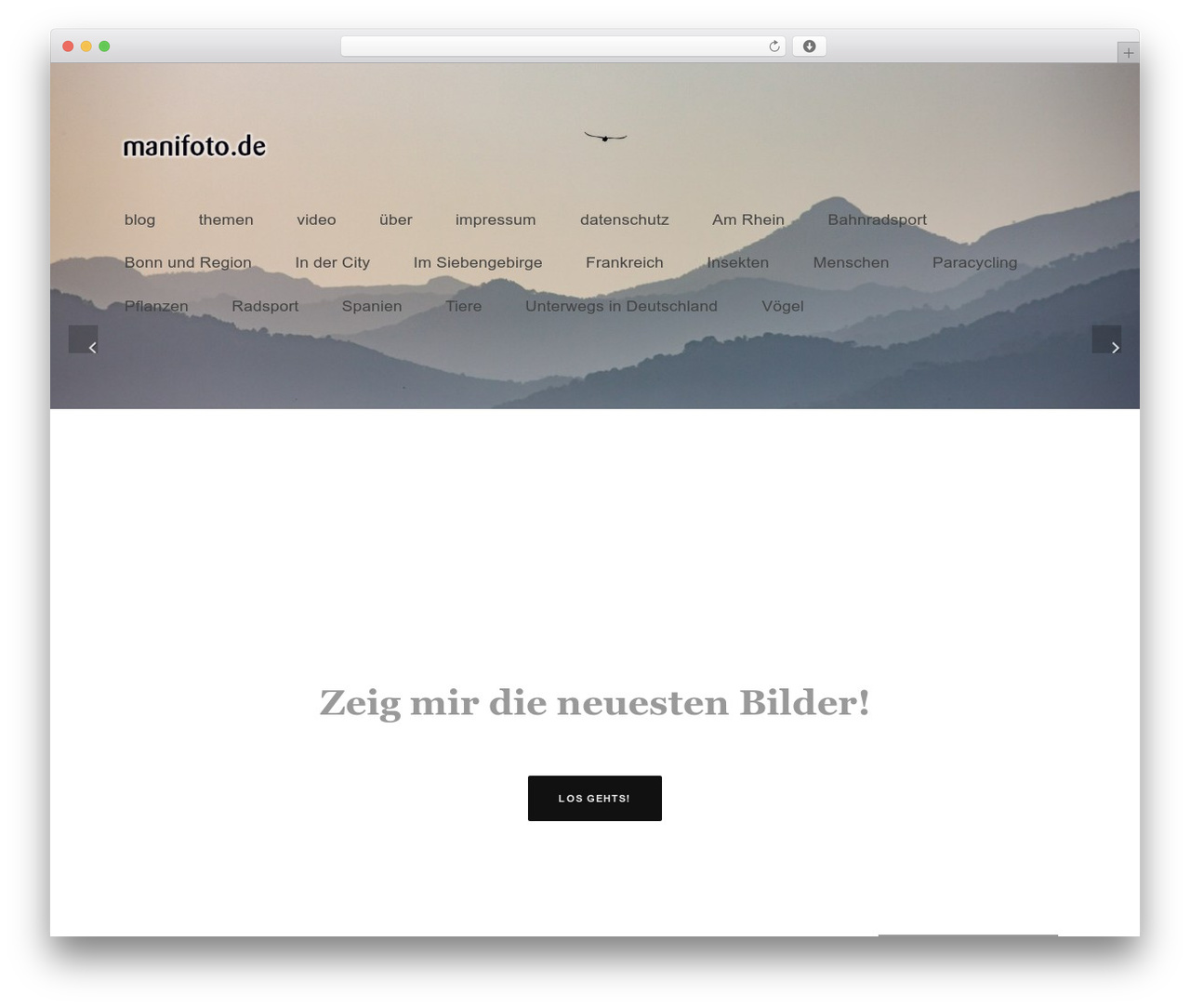 Composition WordPress theme - manifoto.de