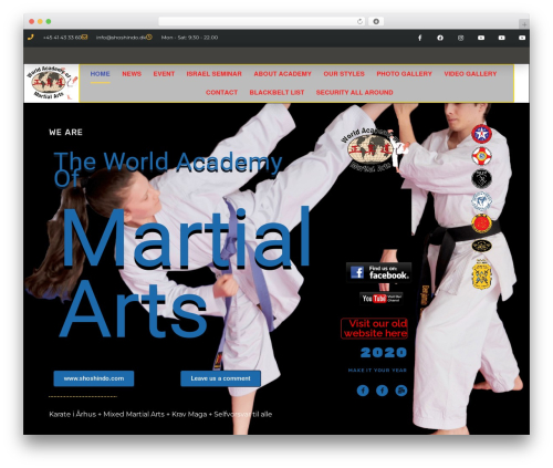 Hello Elementor theme WordPress - shoshindo.dk
