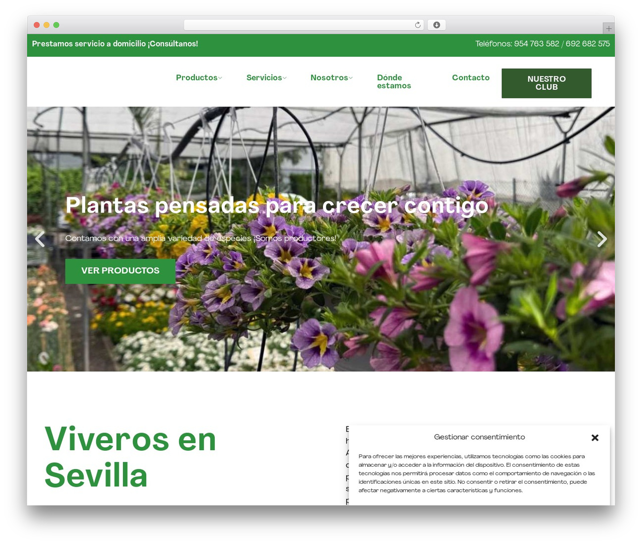 Hello Elementor WordPress theme - viverosaznaljarafe.com Hello Elementor WordPress theme - viverosaznaljarafe.com