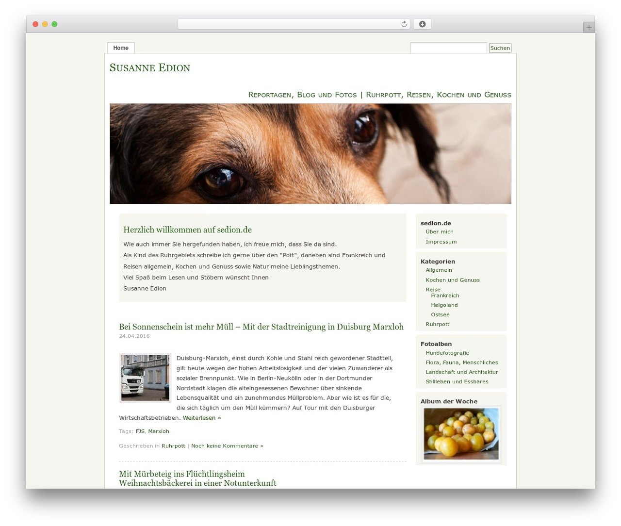 MistyLook WordPress theme - sedion.de MistyLook WordPress theme - sedion.de
