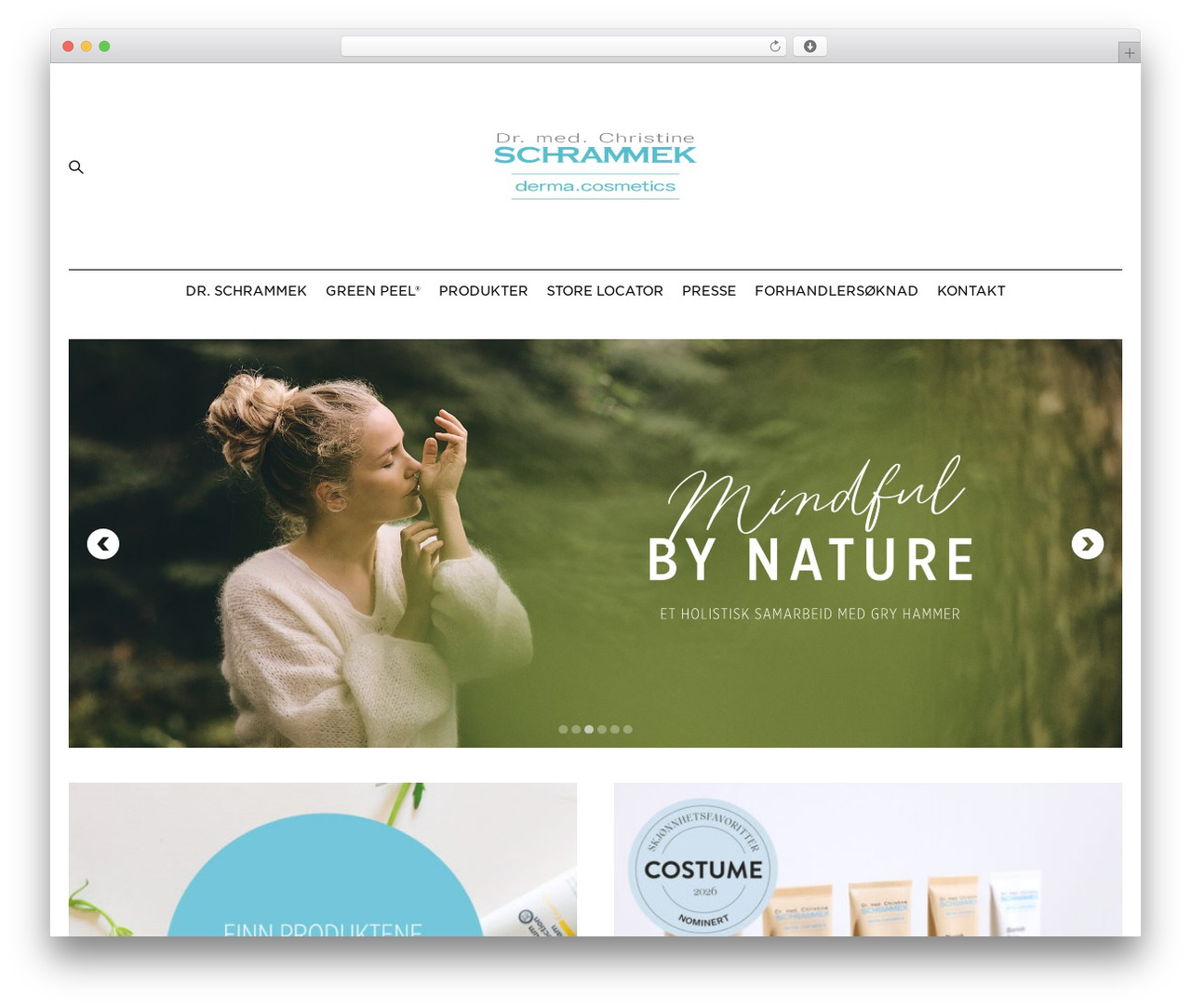 Stord theme WordPress - schrammek.no
