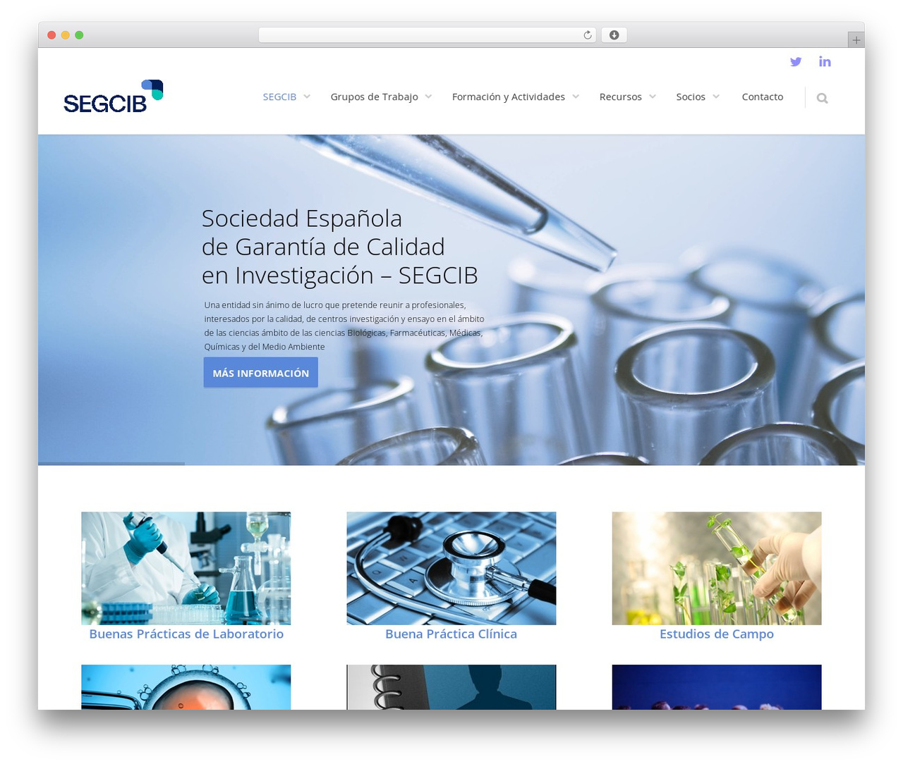 Theme WordPress Converio - segcib.org Theme WordPress Converio - segcib.org