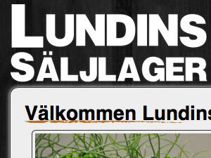 WordPress website theme Lundins WordPress website theme Lundins