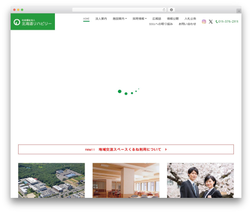Aplan WordPress theme - selp.net