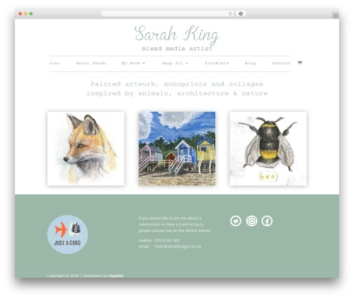 Best WordPress theme Divi - sarahkingart.co.uk