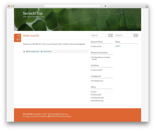 BirdTIPS best free WordPress theme - serockitop.com BirdTIPS best free WordPress theme - serockitop.com