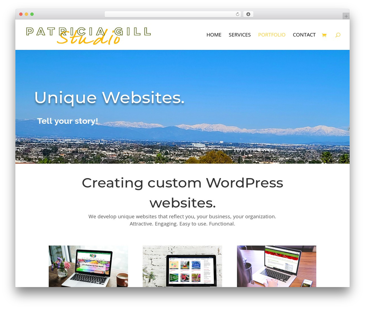 Divi WordPress theme - saidthespider.net