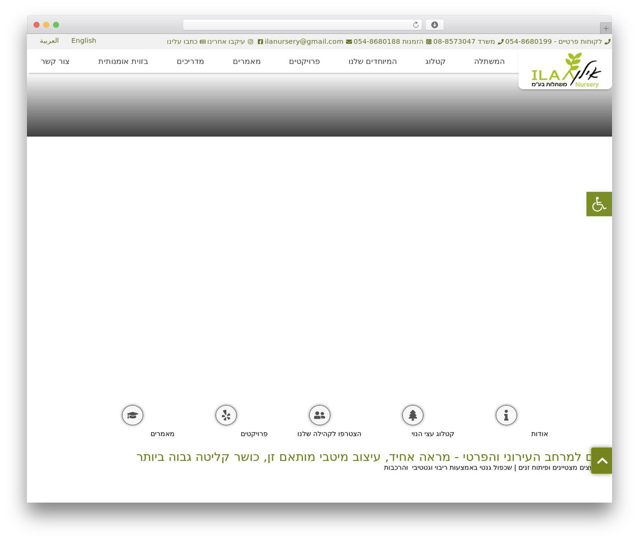 Hello Elementor Child Theme theme WordPress - ilan-nursery.co.il