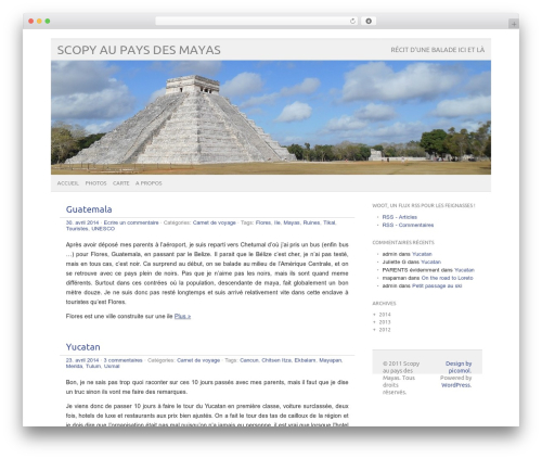picolight WordPress page theme - scopy.eu