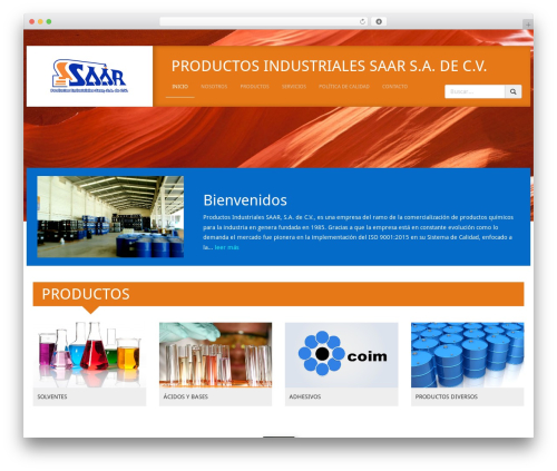 saar WordPress theme - saar.com.mx