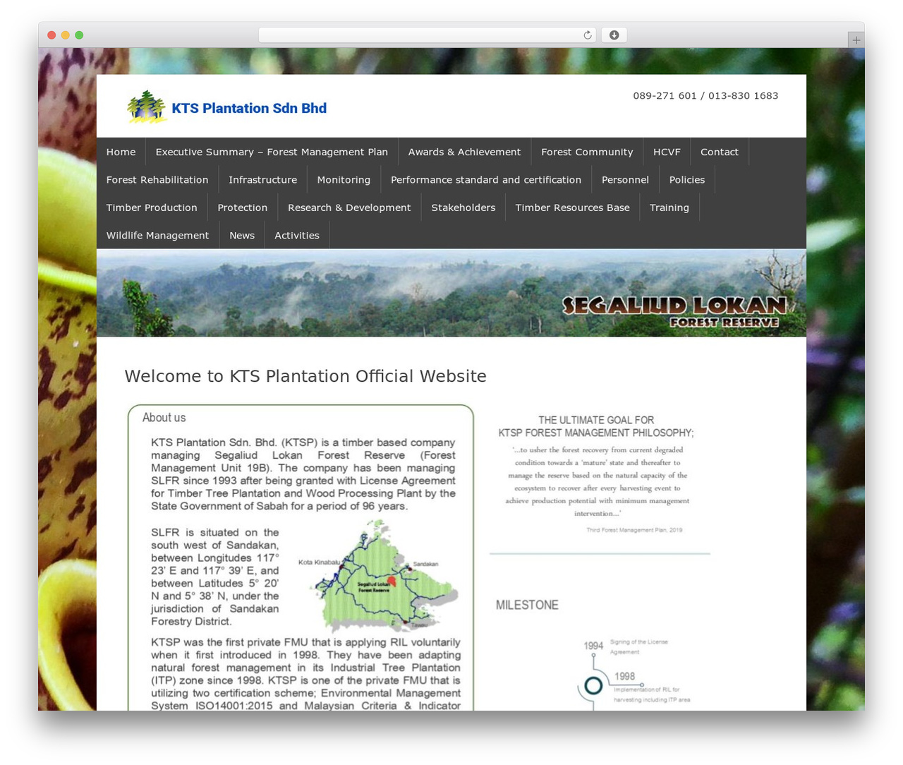 Typal.makewp005 top WordPress theme - segaliudlokan.com Typal.makewp005 top WordPress theme - segaliudlokan.com