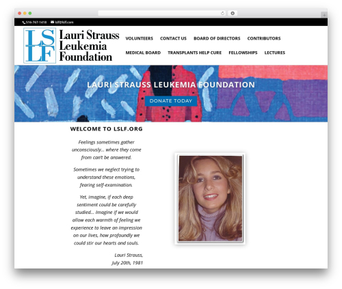 WordPress theme Divi - lslf.org