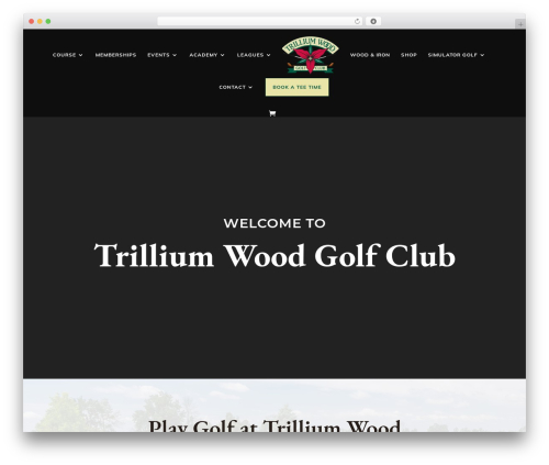 Salient widgets WordPress plugin - trilliumwood.com
