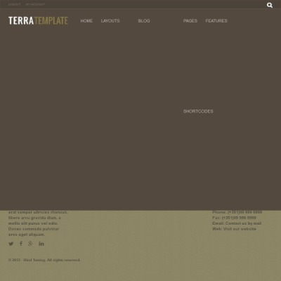 WordPress theme TerraOne by Bind