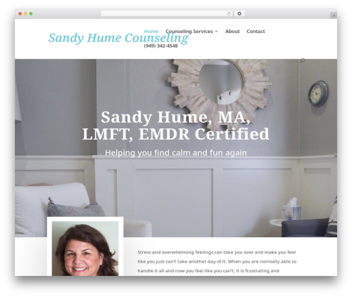 Divi accessibility 2.0.5 WordPress plugin - sandyhume.com