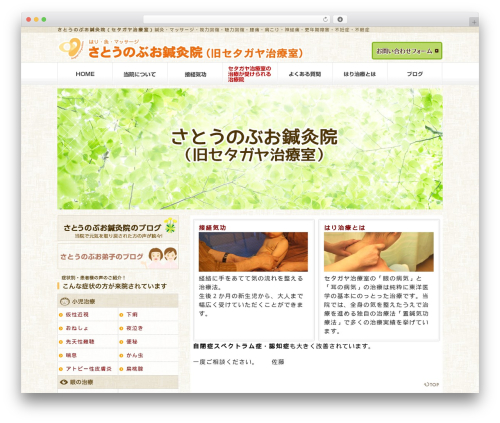 Inquiry form creator WordPress plugin - setagaya-chiryoshitsu.com