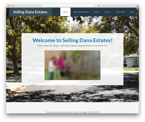 Wiseagentleadform WordPress plugin - sellingdanaestates.com