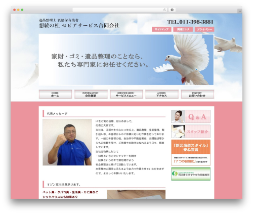 Aplan best WordPress theme - sepia-service.com